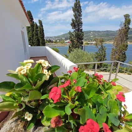 Skiathos Lagoterra Apartments ภายนอก รูปภาพ
