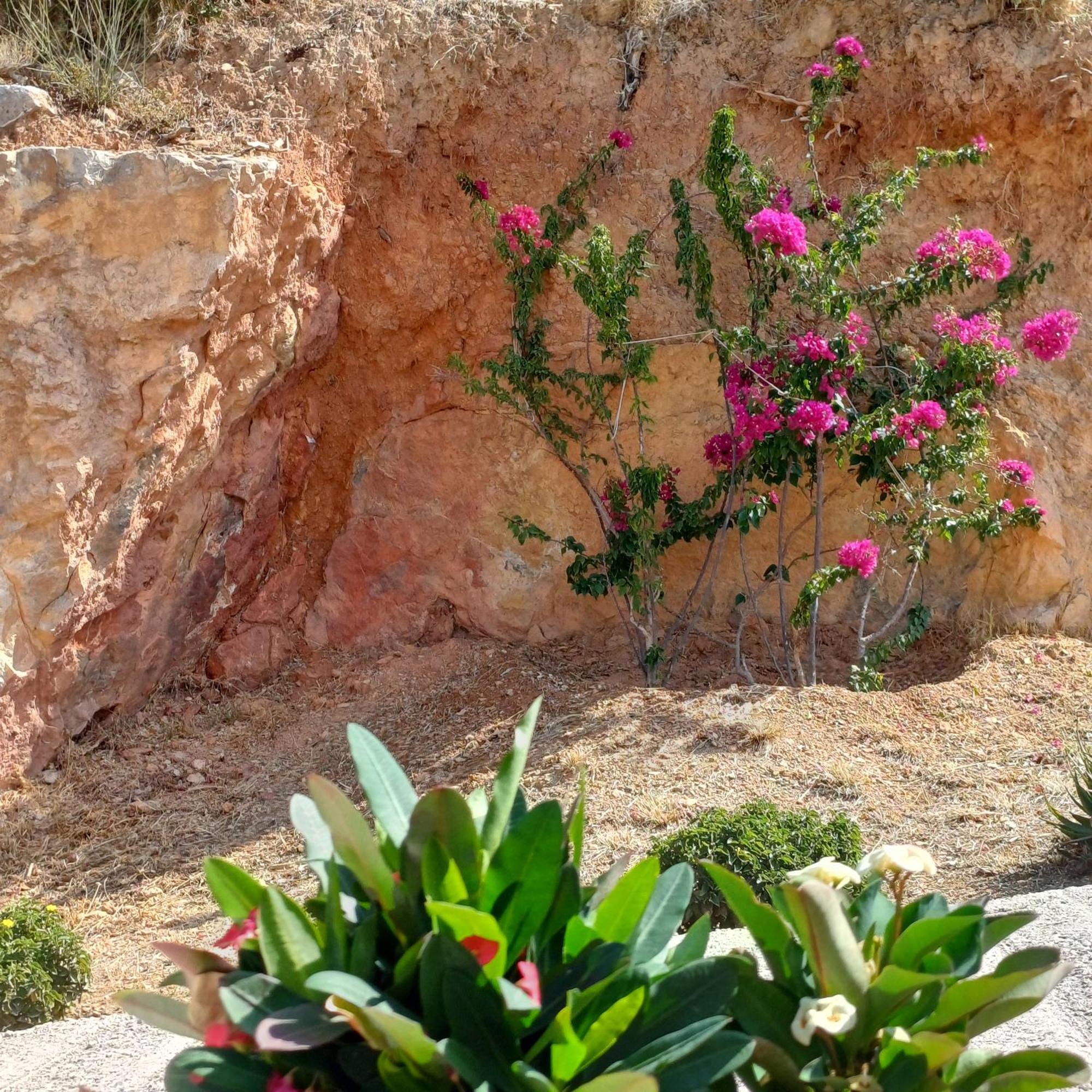 Skiathos Lagoterra Apartments ภายนอก รูปภาพ